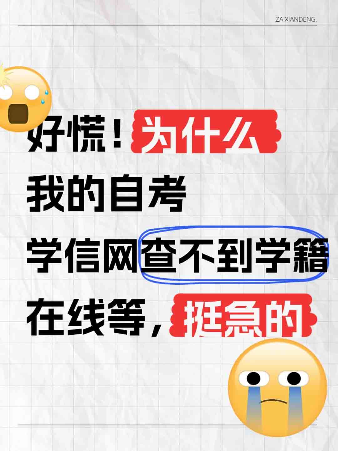 为什么自考在学信网上查不到学籍？