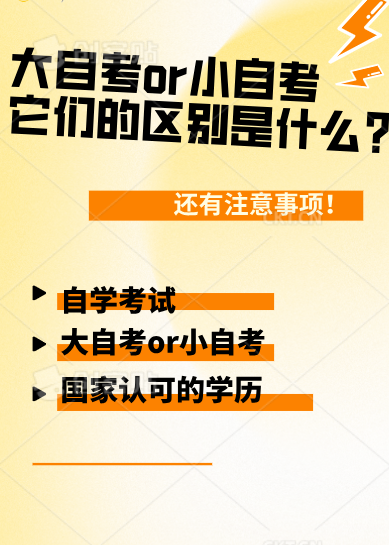 大小自考有什么区别？需要注意什么？