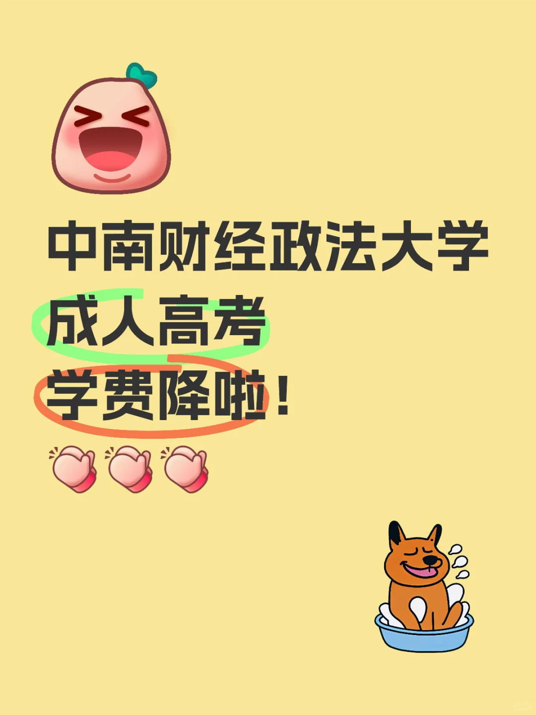 重磅官宣！财大成考学费下调！211名校快冲