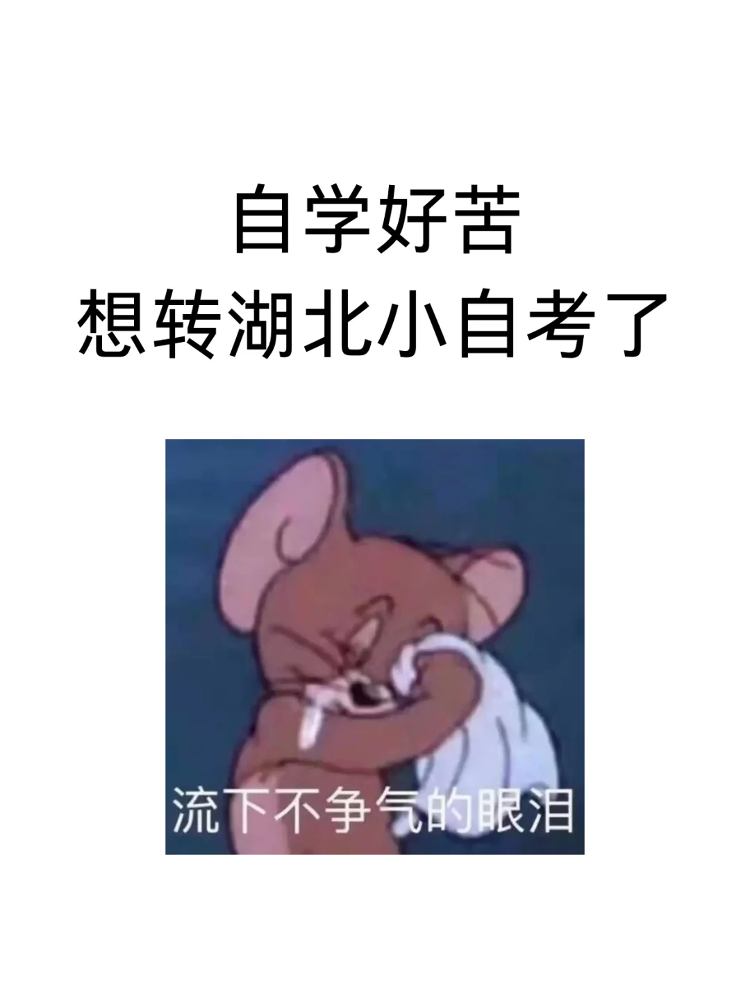 大自考和小自考的区别是什么？大自考能转小自考吗？